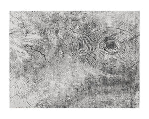 Woodland Hand-loomed Rug - elegant rugs for living spaces | Image 1 | InSTYLE Home & Rugs