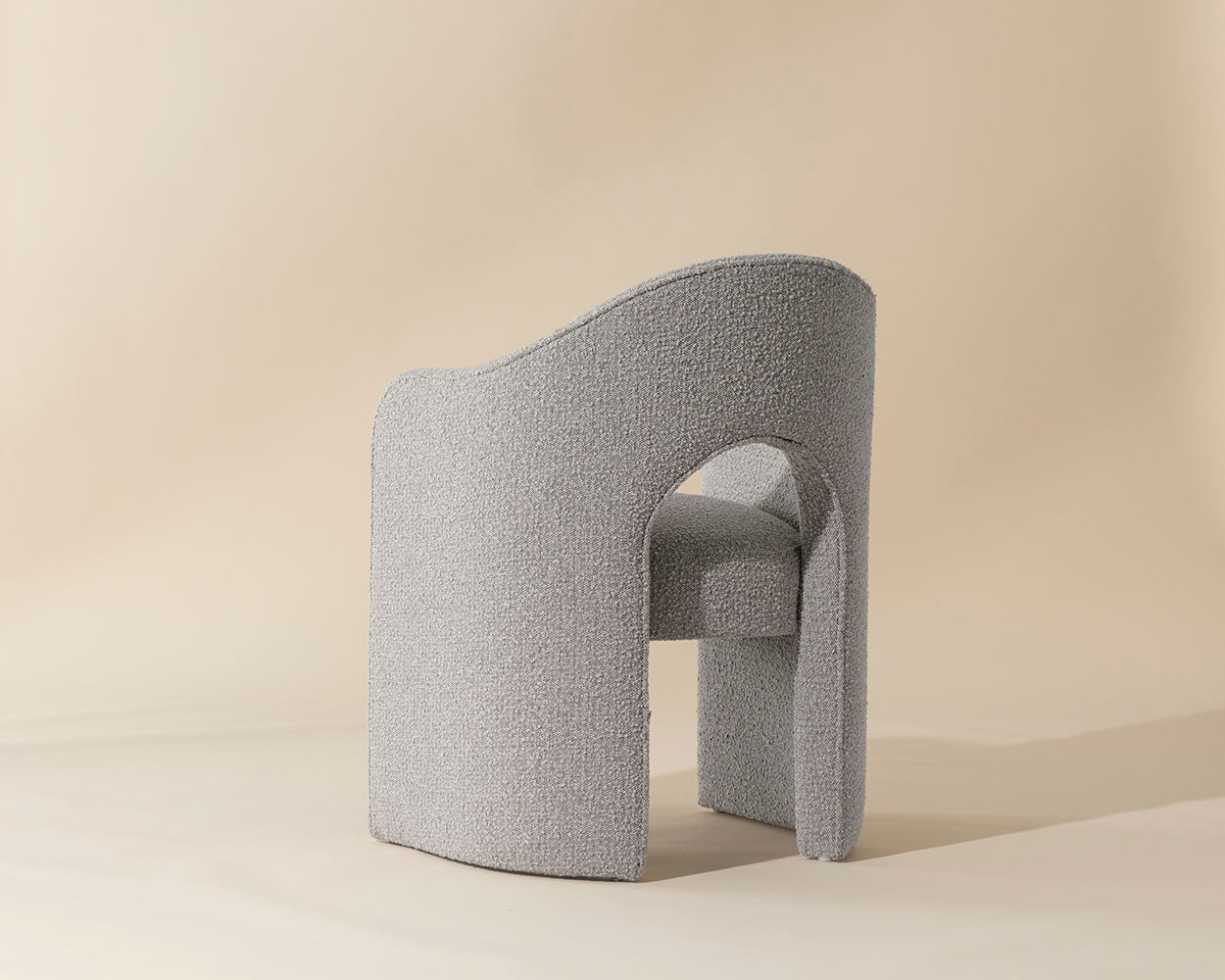 Anaya Dining Armchair - elegant seating for dining areas | Image 17 | InSTYLE Home & Rugs