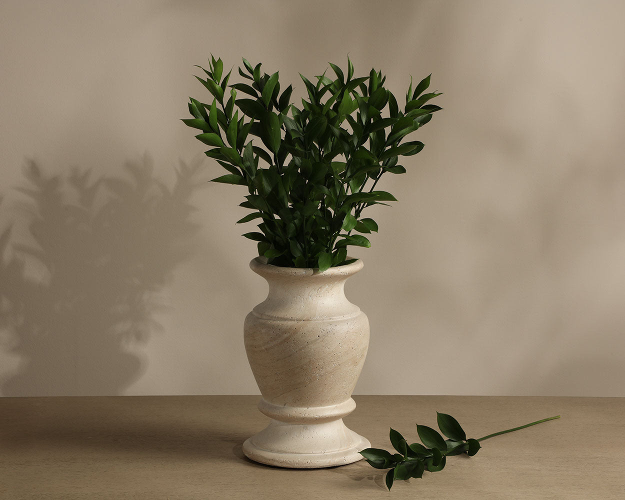 Xenia Vase - elegant vase for adding a touch of style to any room | Image 3 | InSTYLE Home & Rugs