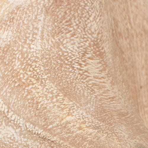 Teak Flow Indoor-Outdoor Bowl, White Wash - elegant decorative bowl for a unique centerpiece in any room | Image 9 | InSTYLE Home & Rugs