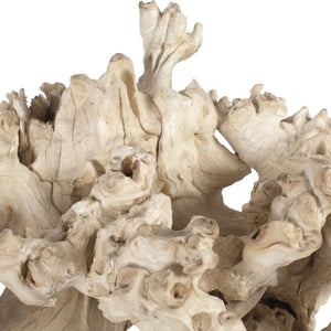 Elemental Root Indoor-Outdoor Sculptures, S/2 - stylish home accessories to complete your decor | Image 6 | InSTYLE Home & Rugs