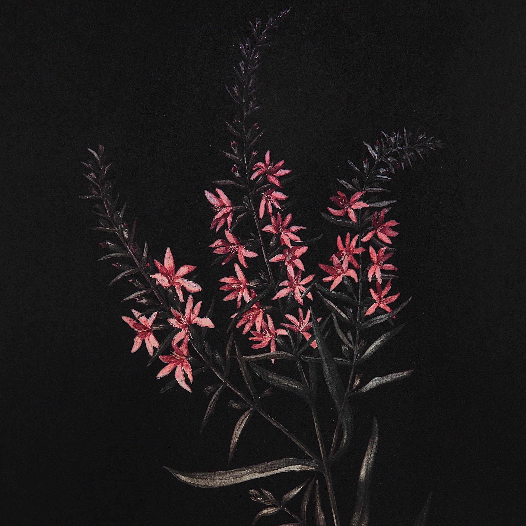 Wallflower - timeless artwork that brings character to any space | Image 8 | InSTYLE Home & Rugs