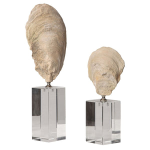Oyster Shell Sculptures, S/2 - modern accessories for a personalized living space | Image 8 | InSTYLE Home & Rugs