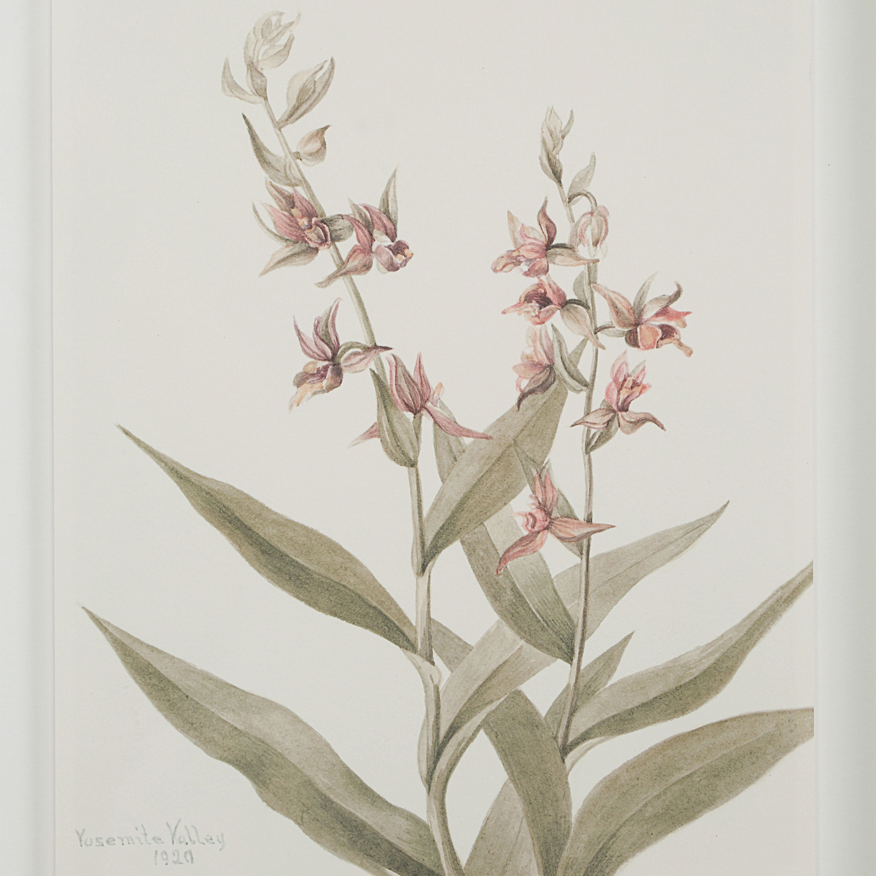 Crema - eye-catching art pieces to enhance your home design | Image 22 | InSTYLE Home & Rugs