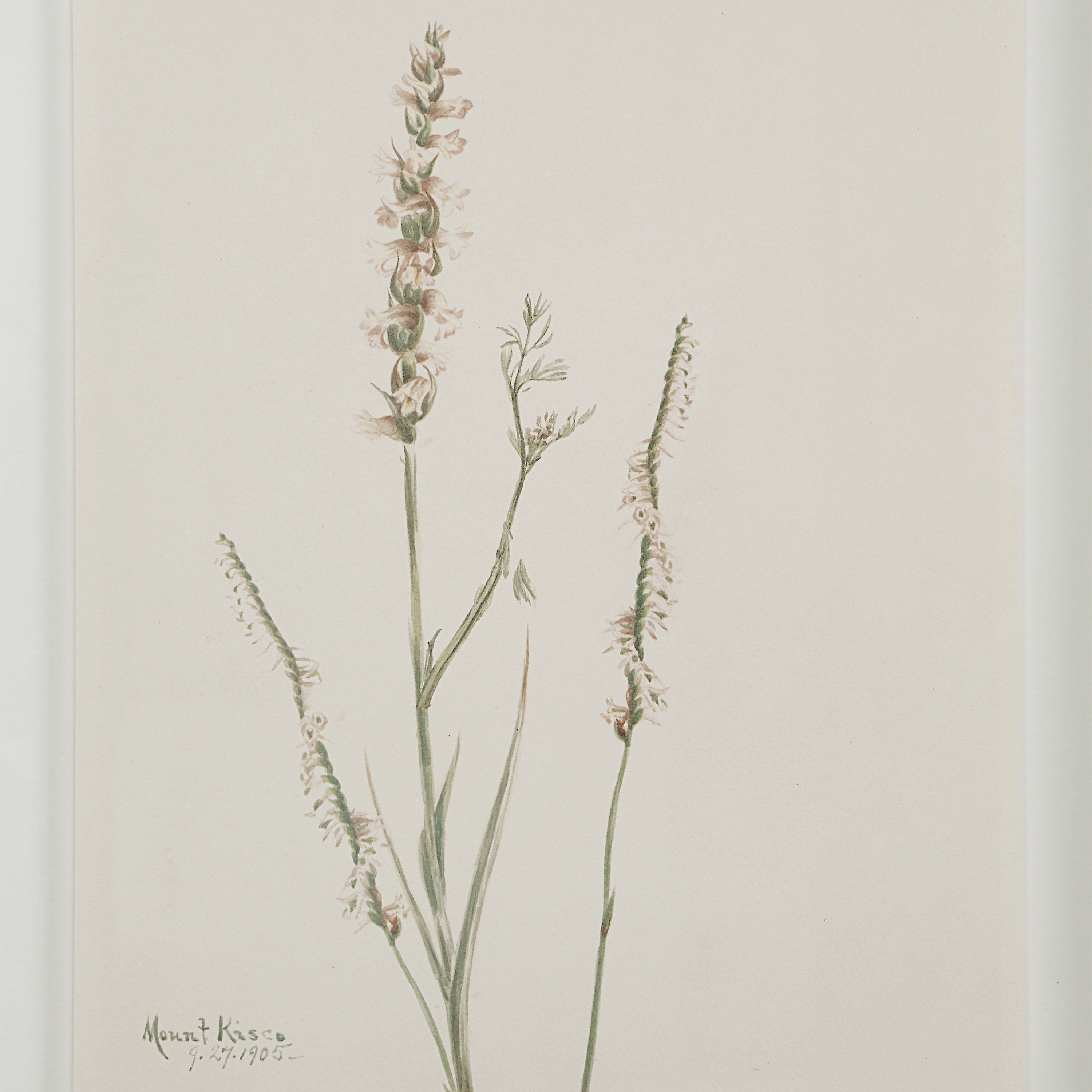 Crema - eye-catching art pieces to enhance your home design | Image 35 | InSTYLE Home & Rugs