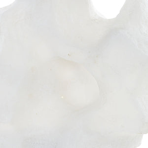 Remnant Sculptures, S/2 - stylish home accessories to complete your decor | Image 3 | InSTYLE Home & Rugs