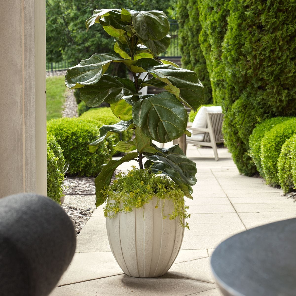 Ridgehaven Indoor-Outdoor Planter - stylish plant pot for home or office decor | Image 1 | InSTYLE Home & Rugs