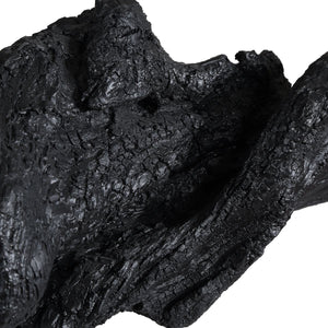 Charred Timber Sculpture - decor accents and accessories for every room | Image 6 | InSTYLE Home & Rugs