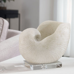 Nautilus Shell Sculpture - modern accessories for a personalized living space | Image 5 | InSTYLE Home & Rugs