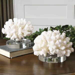 Hard Coral Sculpture, S/2 - decor accents and accessories for every room | Image 3 | InSTYLE Home & Rugs