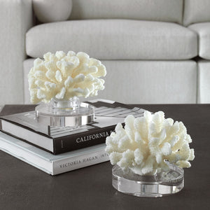 Hard Coral Sculpture, S/2 - decor accents and accessories for every room | Image 1 | InSTYLE Home & Rugs