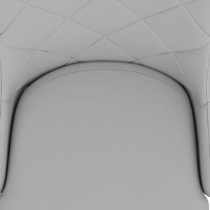 Devo Dining/Lounge Chair, Set of 2 - durable construction for long-lasting use | Image 15 | InSTYLE Home & Rugs