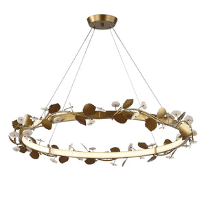 Biscotti, LED Chandelier - luxurious chandeliers for homes | Image 5 | InSTYLE Home & Rugs