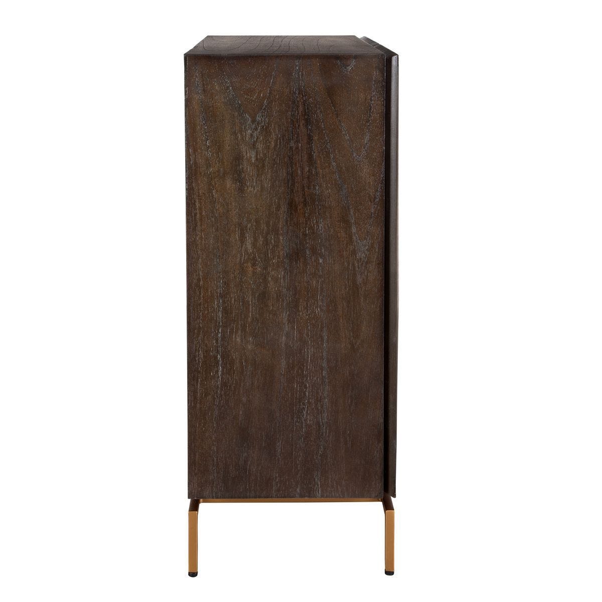 Marico 2 Door Cabinet - elegant cabinets for your bar | Image 6 | InSTYLE Home & Rugs