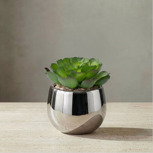 Silver Ball Potted Faux Succulent - functional pot for growing flowers, herbs, and plants | Image 2 | InSTYLE Home & Rugs