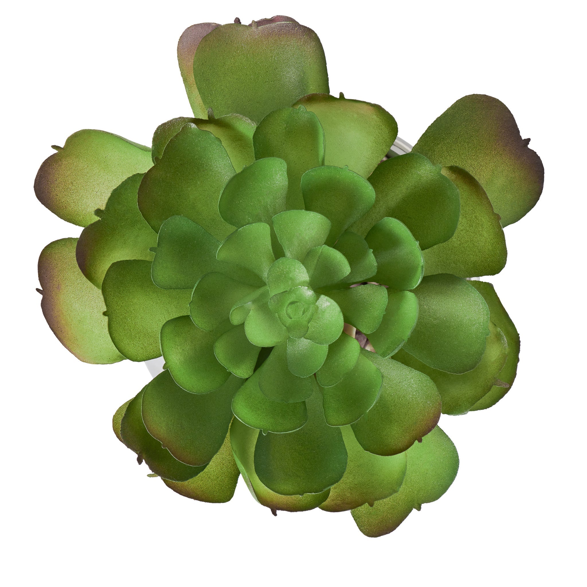 Silver Ball Potted Faux Succulent - functional pot for growing flowers, herbs, and plants | Image 3 | InSTYLE Home & Rugs