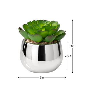 Silver Ball Potted Faux Succulent - functional pot for growing flowers, herbs, and plants | Image 4 | InSTYLE Home & Rugs