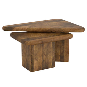 Draco 2pc Coffee Table Set - stylish tables for living rooms | Image 2 | InSTYLE Home & Rugs