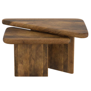 Draco 2pc Coffee Table Set - stylish tables for living rooms | Image 13 | InSTYLE Home & Rugs
