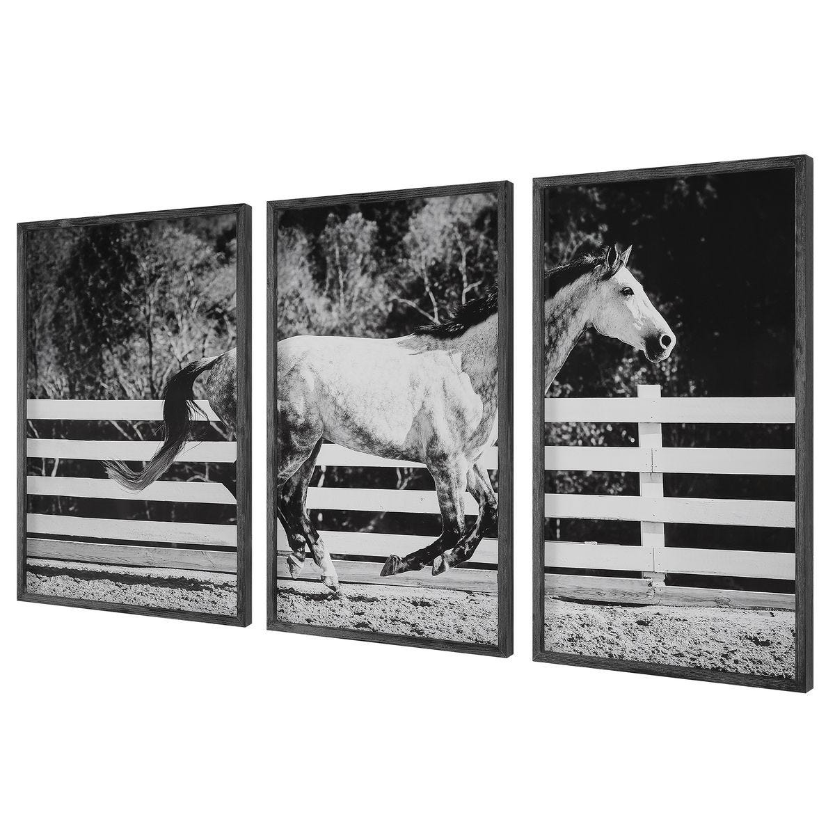 Galloping Forward Framed Prints, S/3 - timeless artwork that brings character to any space | Image 3 | InSTYLE Home & Rugs