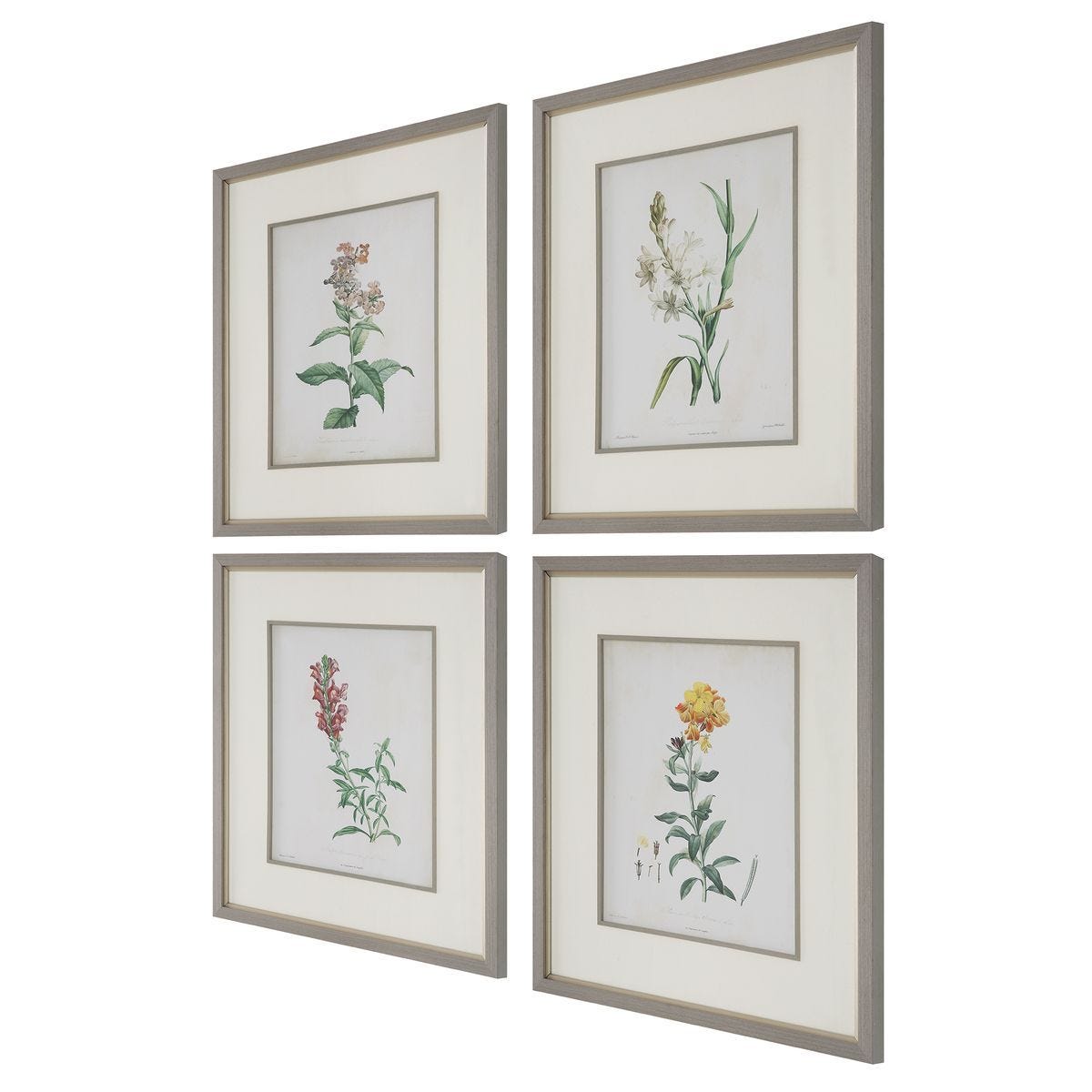 Heirloom Blooms Study Framed Prints, S/4 - bold and creative art for unique interior décor | Image 4 | InSTYLE Home & Rugs