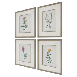 Heirloom Blooms Study Framed Prints, S/4 - bold and creative art for unique interior décor | Image 4 | InSTYLE Home & Rugs