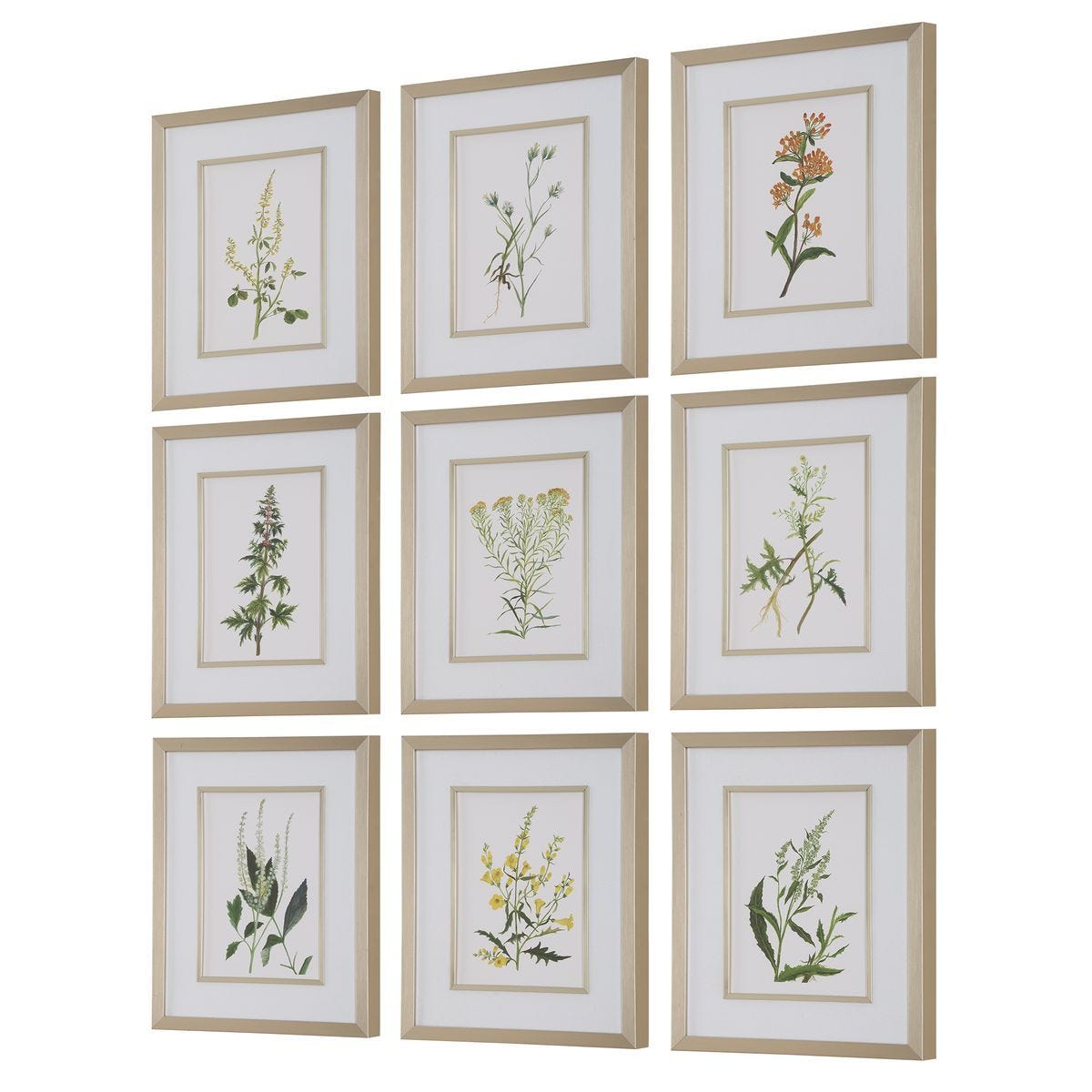 Botanical Flowers Framed Prints, S/9 - timeless artwork that brings character to any space | Image 4 | InSTYLE Home & Rugs