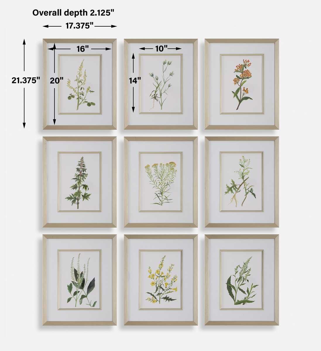 Botanical Flowers Framed Prints, S/9 - timeless artwork that brings character to any space | Image 7 | InSTYLE Home & Rugs