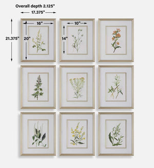 Botanical Flowers Framed Prints, S/9 - timeless artwork that brings character to any space | Image 7 | InSTYLE Home & Rugs