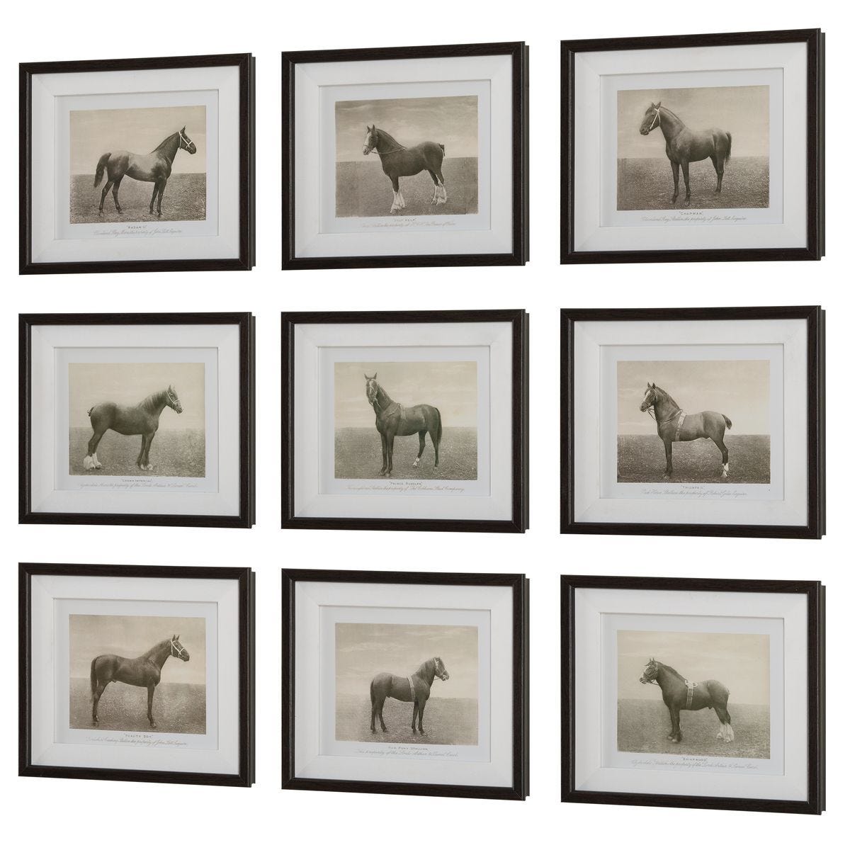 Equine Dynasty Framed Prints, S/9 - bold and creative art for unique interior décor | Image 4 | InSTYLE Home & Rugs