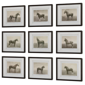 Equine Dynasty Framed Prints, S/9 - bold and creative art for unique interior décor | Image 4 | InSTYLE Home & Rugs