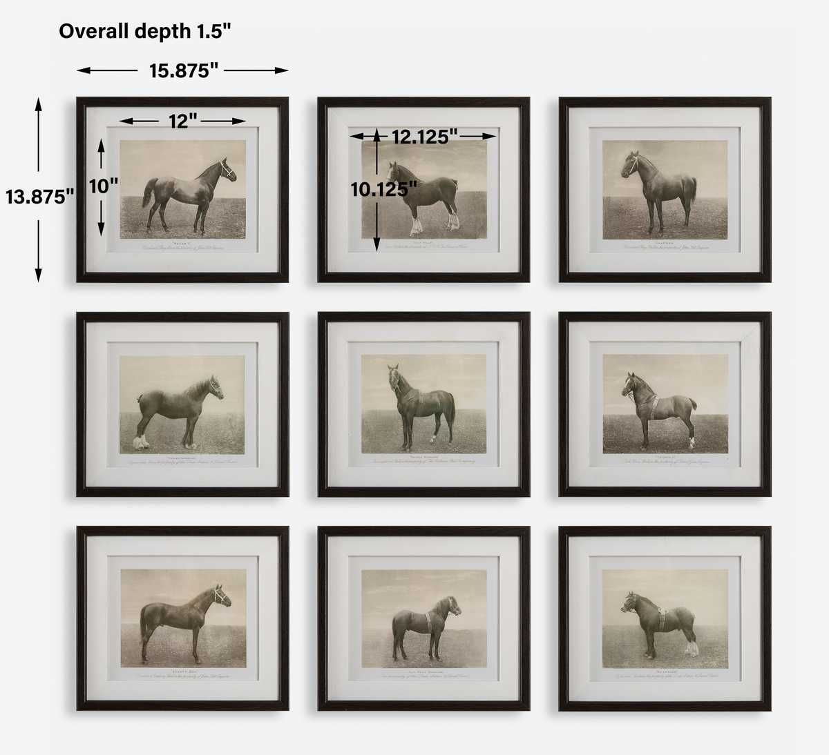 Equine Dynasty Framed Prints, S/9 - bold and creative art for unique interior décor | Image 7 | InSTYLE Home & Rugs