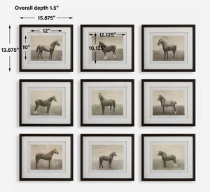 Equine Dynasty Framed Prints, S/9 - bold and creative art for unique interior décor | Image 7 | InSTYLE Home & Rugs