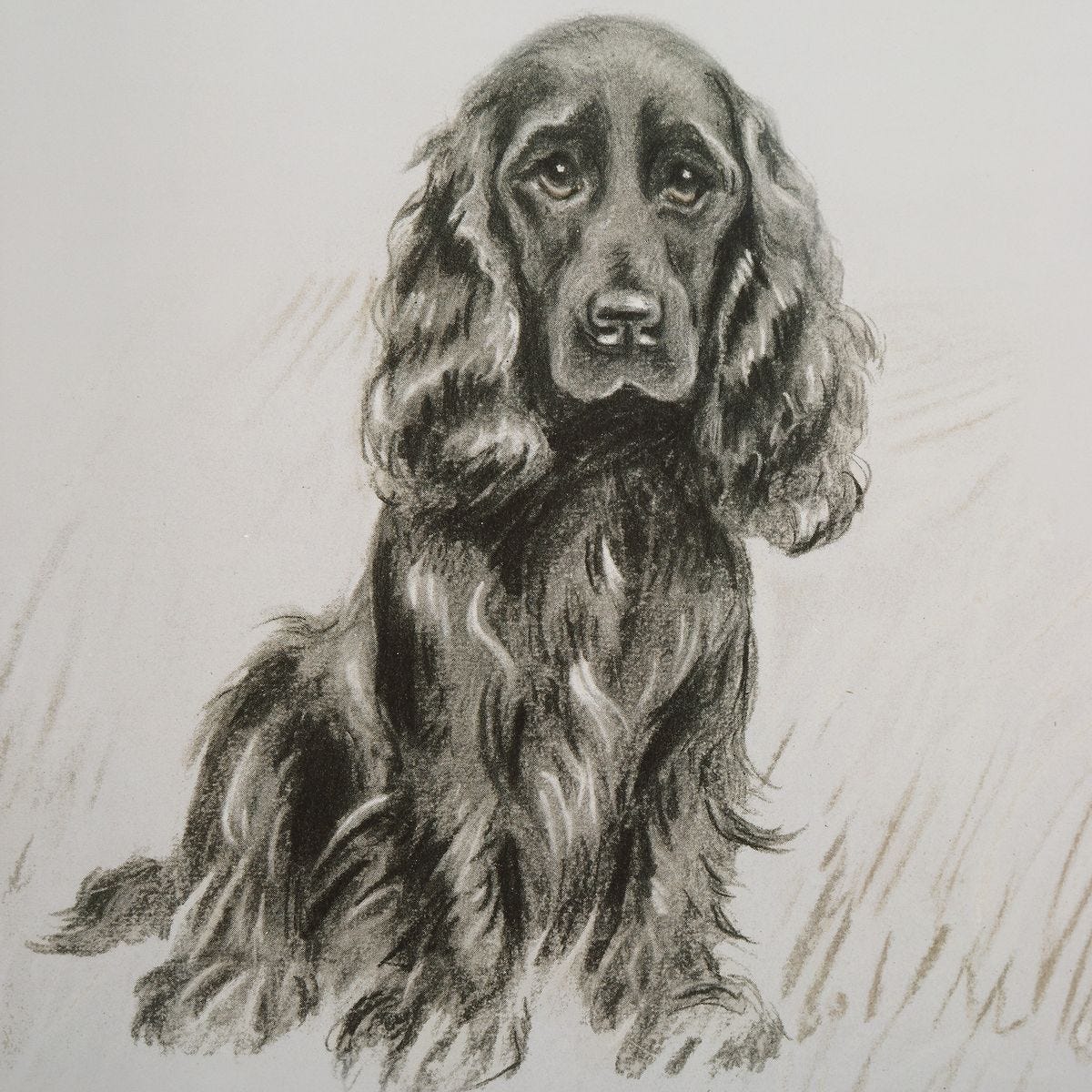 Loyal Companion Framed Prints, S/9 - timeless artwork that brings character to any space | Image 5 | InSTYLE Home & Rugs