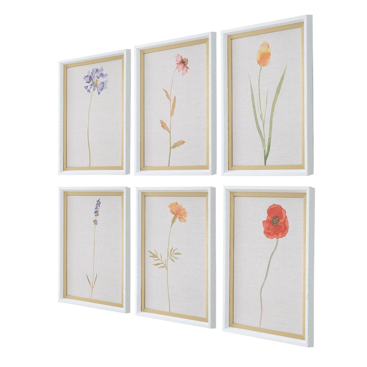 Wild Flourish Framed Prints, S/6 - bold and creative art for unique interior décor | Image 3 | InSTYLE Home & Rugs