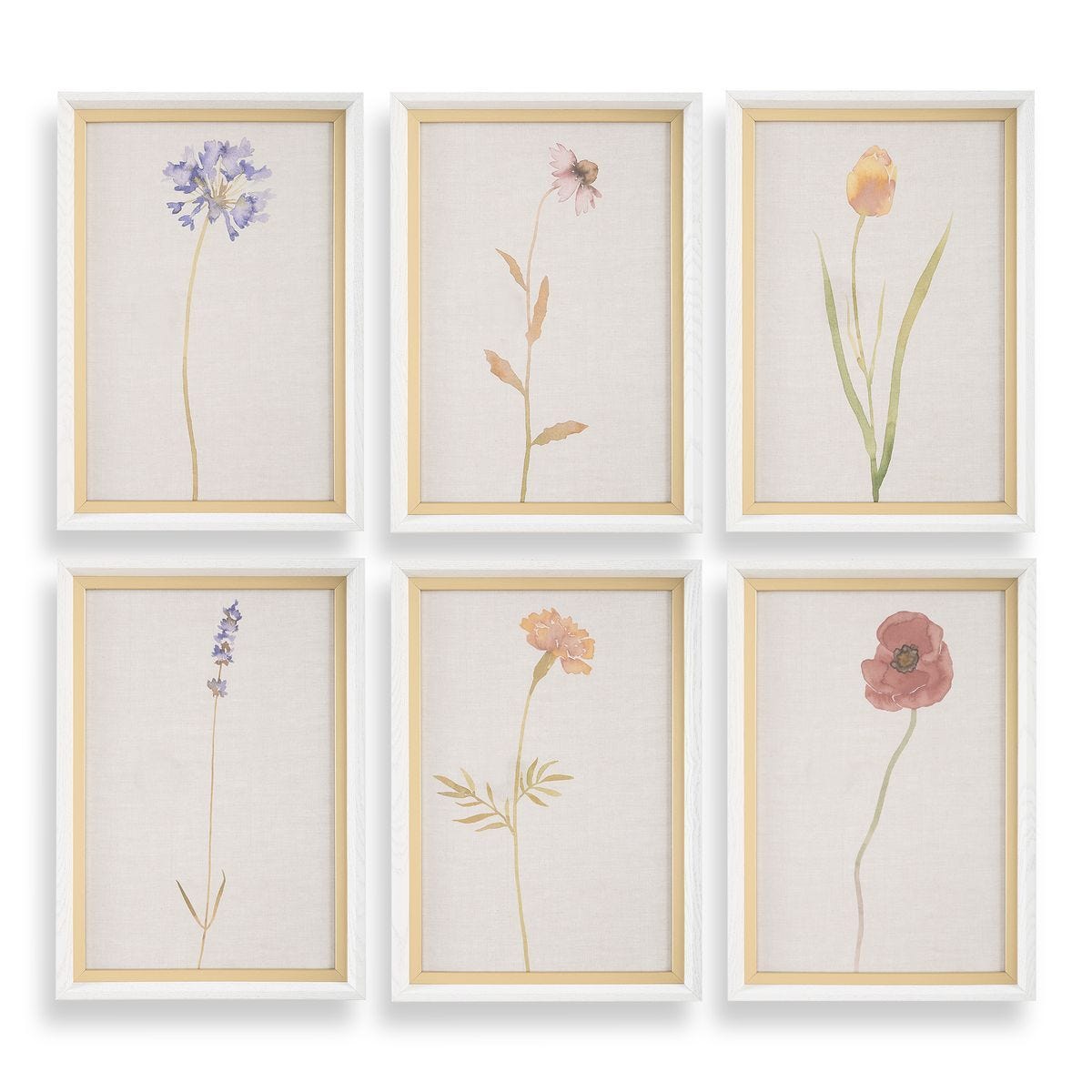 Wild Flourish Framed Prints, S/6 - bold and creative art for unique interior décor | Image 2 | InSTYLE Home & Rugs