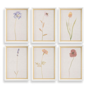 Wild Flourish Framed Prints, S/6 - bold and creative art for unique interior décor | Image 2 | InSTYLE Home & Rugs