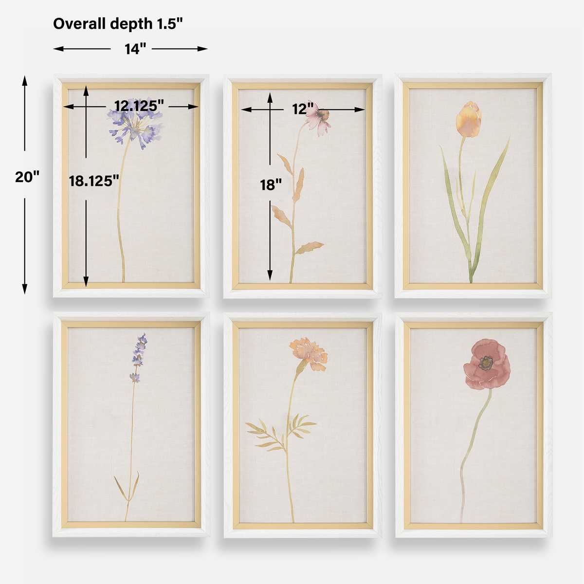 Wild Flourish Framed Prints, S/6 - bold and creative art for unique interior décor | Image 6 | InSTYLE Home & Rugs