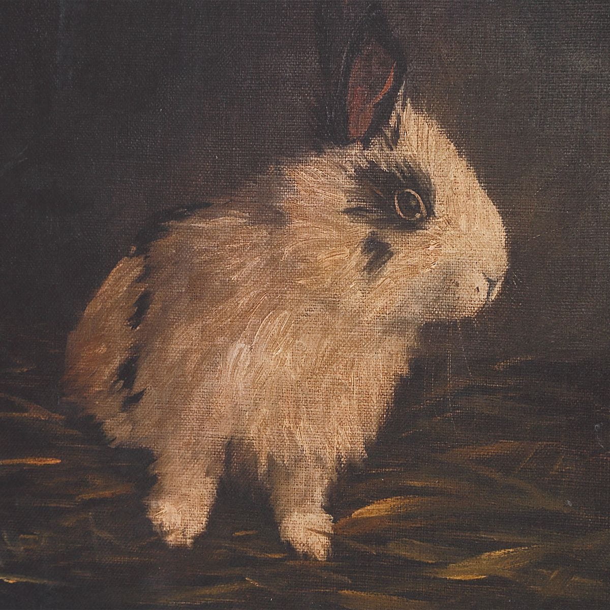 Resting Bunny Framed Prints, S/9 - bold and creative art for unique interior décor | Image 5 | InSTYLE Home & Rugs
