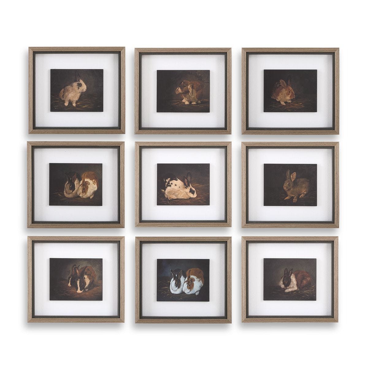 Resting Bunny Framed Prints, S/9 - bold and creative art for unique interior décor | Image 2 | InSTYLE Home & Rugs