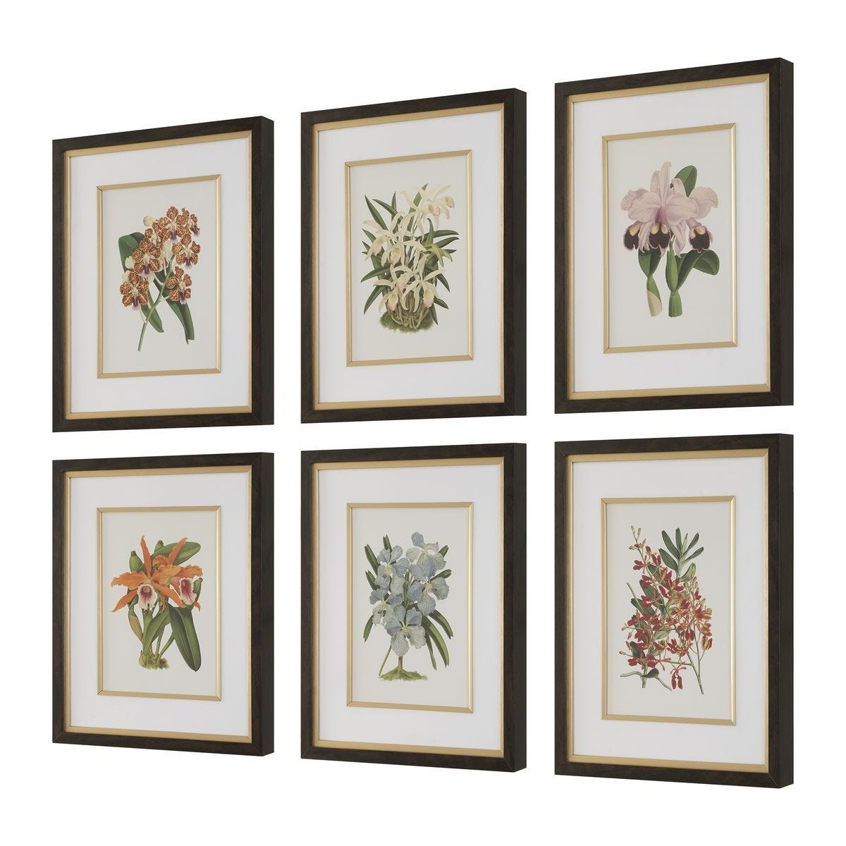 Orchid Botanical Framed Prints, S/6 - eye-catching art pieces to enhance your home design | Image 3 | InSTYLE Home & Rugs