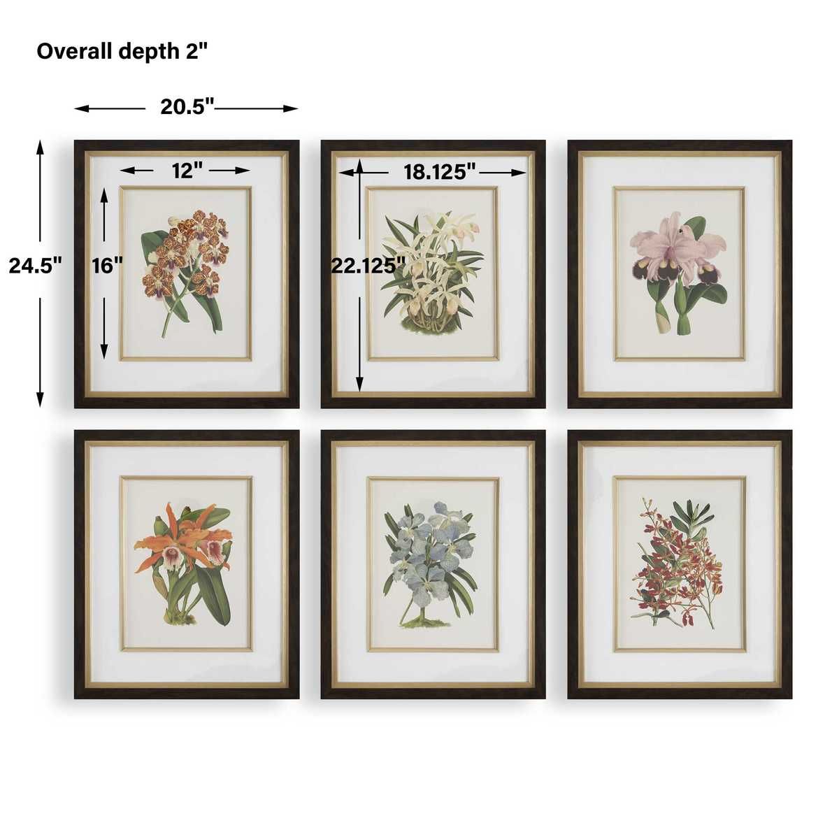 Orchid Botanical Framed Prints, S/6 - eye-catching art pieces to enhance your home design | Image 6 | InSTYLE Home & Rugs