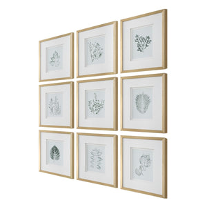 Nature's Script Framed Prints, S/9 - eye-catching art pieces to enhance your home design | Image 4 | InSTYLE Home & Rugs