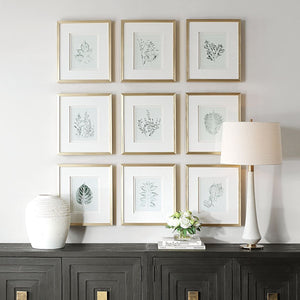 Nature's Script Framed Prints, S/9 - eye-catching art pieces to enhance your home design | Image 1 | InSTYLE Home & Rugs