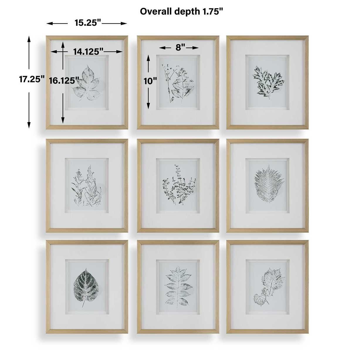 Nature's Script Framed Prints, S/9 - eye-catching art pieces to enhance your home design | Image 7 | InSTYLE Home & Rugs