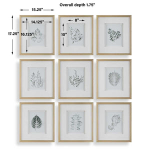 Nature's Script Framed Prints, S/9 - eye-catching art pieces to enhance your home design | Image 7 | InSTYLE Home & Rugs