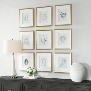 Nature's Script Framed Prints, S/9 - eye-catching art pieces to enhance your home design | Image 3 | InSTYLE Home & Rugs