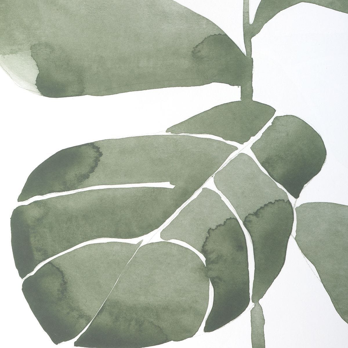 Fiddle Head Leaf Framed Prints, S/4 - timeless artwork that brings character to any space | Image 5 | InSTYLE Home & Rugs