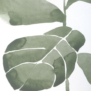 Fiddle Head Leaf Framed Prints, S/4 - timeless artwork that brings character to any space | Image 5 | InSTYLE Home & Rugs