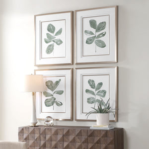 Fiddle Head Leaf Framed Prints, S/4 - timeless artwork that brings character to any space | Image 3 | InSTYLE Home & Rugs